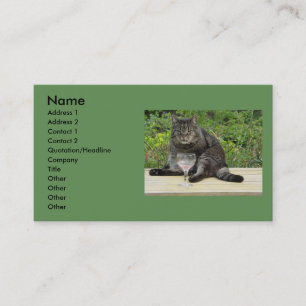 Katze "Bram" auf der Tabelle mit einem Weinglas Visitenkarte