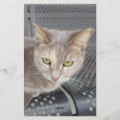 Katze Briefpapier (Rückseite)