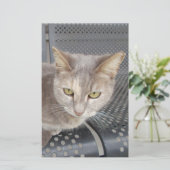 Katze Briefpapier (Stehend Vorderseite)