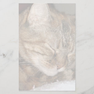 Katze Briefpapier