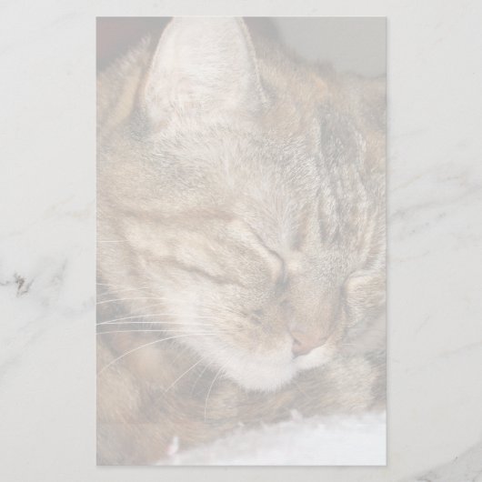 Katze Briefpapier (Vorderseite)