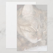 Katze Briefpapier (Vorne/Hinten)