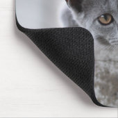 Katze, Britische Kurzhaar, Kätzchen Mousepad (Ecke)
