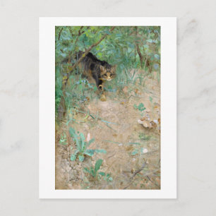 Katze, Bruno Liljefors Postkarte