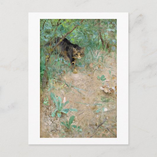Katze, Bruno Liljefors Postkarte (Vorderseite)