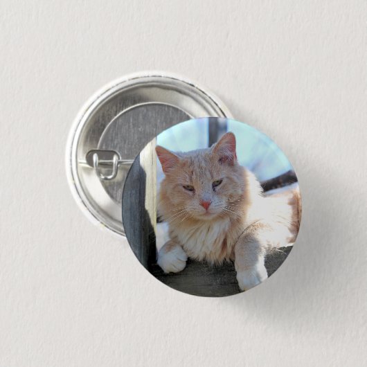 Katze Button (Vorne & Hinten)