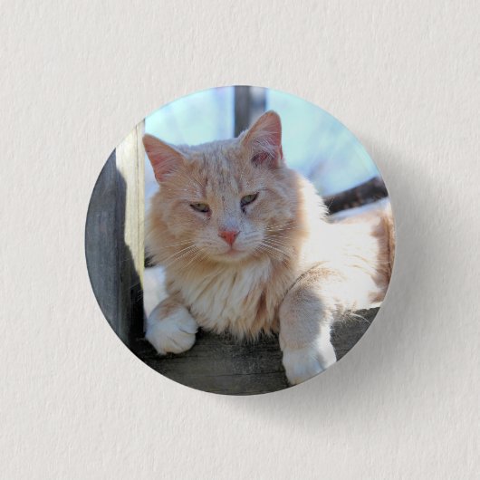 Katze Button (Vorderseite)