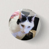 Katze Button (Vorderseite)