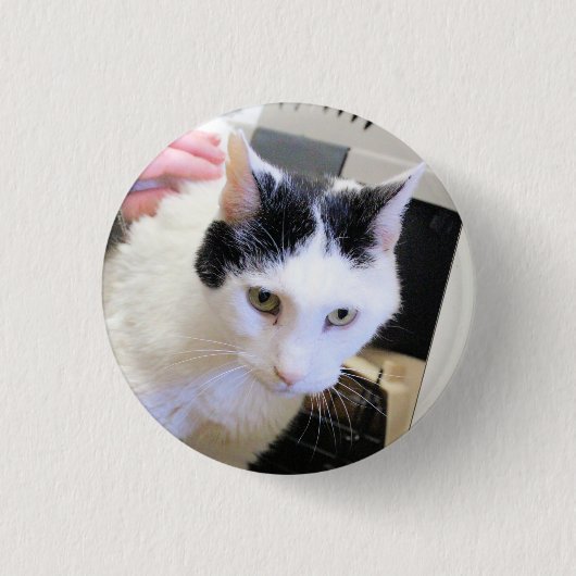Katze Button (Vorderseite)
