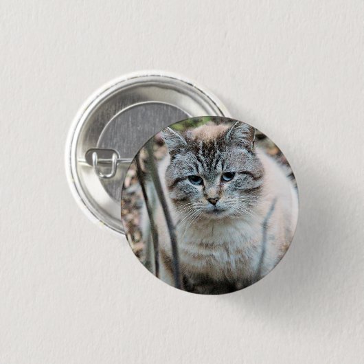 Katze Button (Vorne & Hinten)