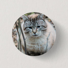 Katze Button