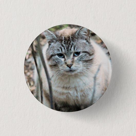 Katze Button (Vorderseite)