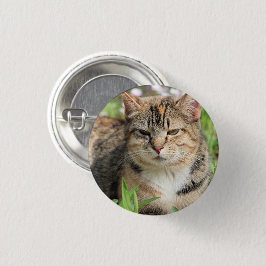Katze Button (Vorne & Hinten)