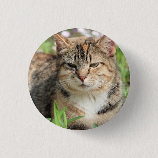 Katze Button (Vorderseite)