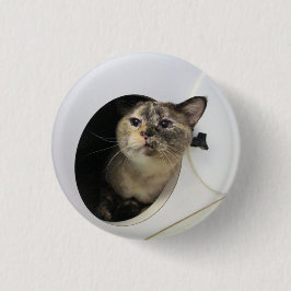 Katze Button