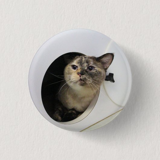 Katze Button (Vorderseite)