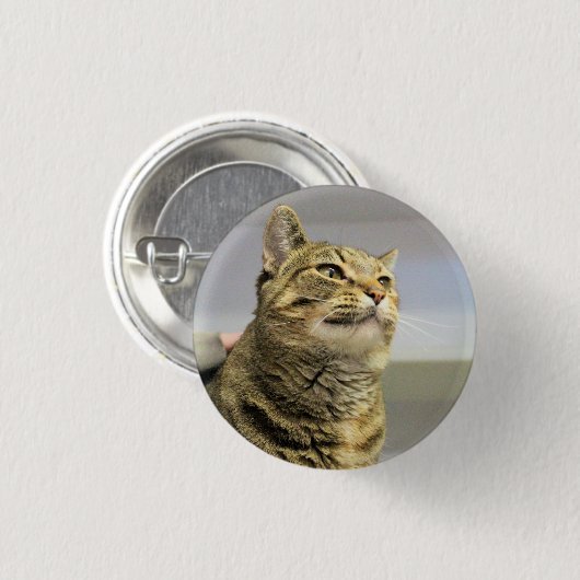 Katze   button (Vorne & Hinten)