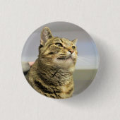 Katze   button (Vorderseite)