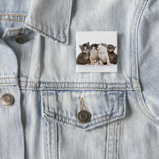 Katze Button (Beispiel)