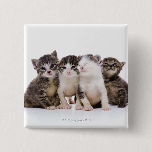 Katze Button (Vorderseite)