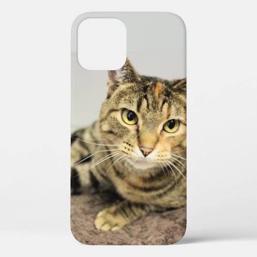 Katze Case-Mate iPhone Hülle (Rückseite)