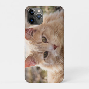 Katze Case-Mate iPhone Hülle