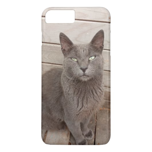Katze Case-Mate iPhone Hülle (Rückseite)