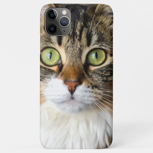 Katze Case-Mate iPhone Hülle (Rückseite)