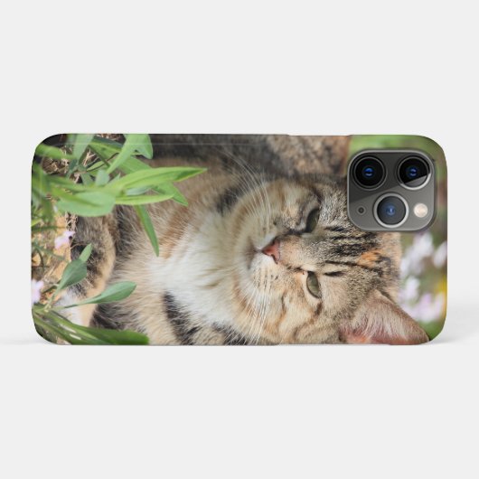 Katze Case-Mate iPhone Hülle (Rückseite (Horizontal))