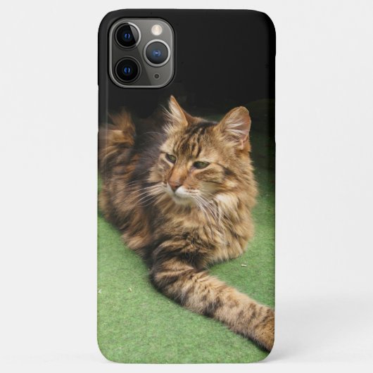 Katze Case-Mate iPhone Hülle (Rückseite)