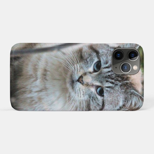 Katze Case-Mate iPhone Hülle (Rückseite (Horizontal))