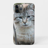 Katze Case-Mate iPhone Hülle (Rückseite)