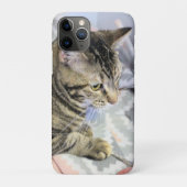 Katze Case-Mate iPhone Hülle (Rückseite)