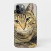 Katze Case-Mate iPhone Hülle (Rückseite)