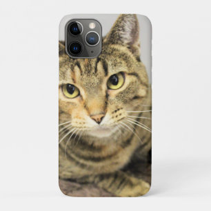 Katze Case-Mate iPhone Hülle