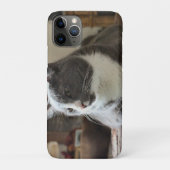 Katze Case-Mate iPhone Hülle (Rückseite)