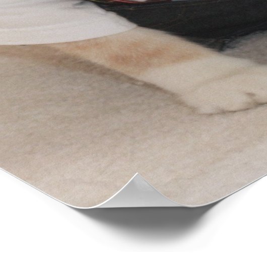 KATZE/CAT Funny German Cat Poster (Ecke)