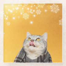 Katze Catchen Schneeflocken Winterglass Untersetze