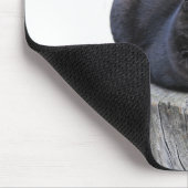 Katze, C'est la vie! Mousepad (Ecke)