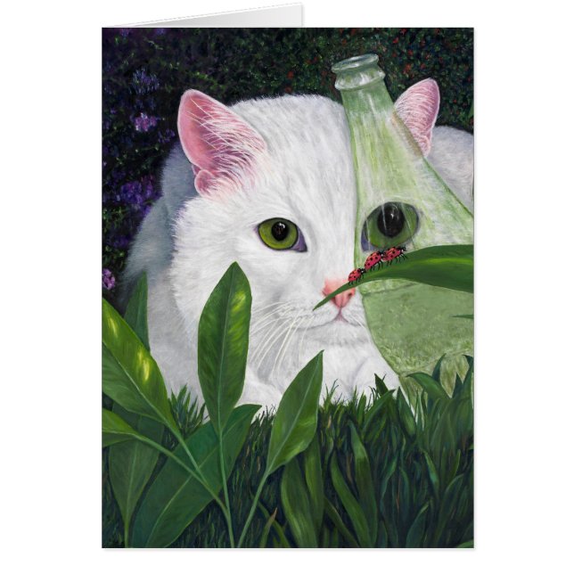 Katze, Cola Flasche und Ladybugs (Vorne)