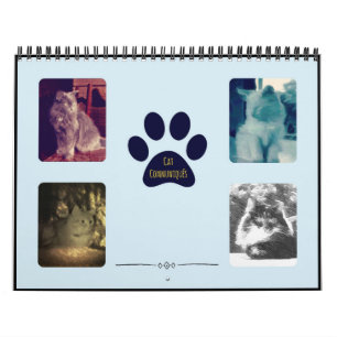 Katze Communiqués Kalender