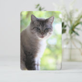 Katze Dankeskarte (Stehend Vorderseite)
