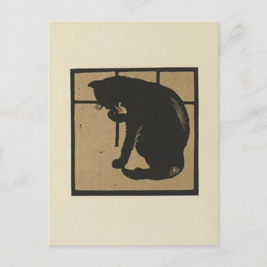 Katze - Darstellung der Square Animals Postkarte (Vorderseite)