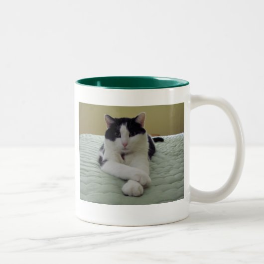 Katze - das Leben ist gut Zweifarbige Tasse (Rechts)