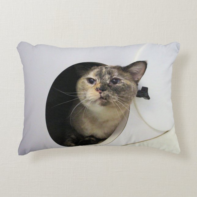 Katze Dekokissen (Vorderseite)