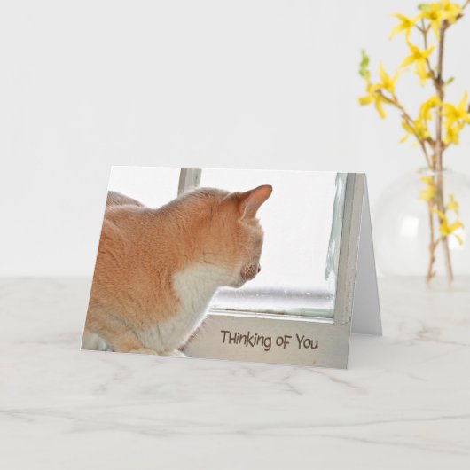 Katze denkt an dich karte (Gelbe Blume)