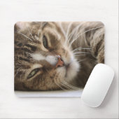 Katze, der Hangover, Katzenauge Mousepad (Mit Mouse)