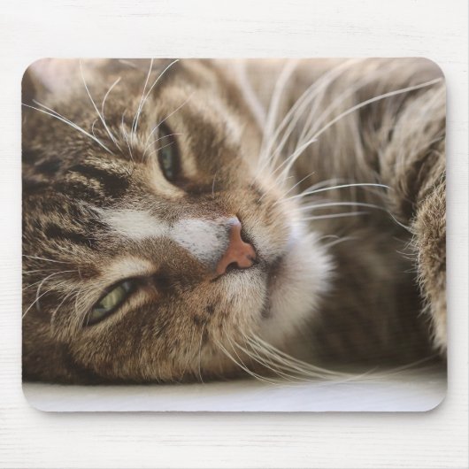 Katze, der Hangover, Katzenauge Mousepad (Vorne)