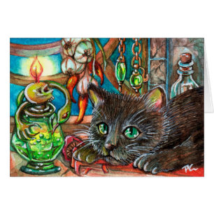 Katze des Alchemist