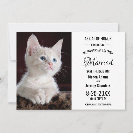 Katze des Ehrenamtes Foto Hochzeit speichern das D Save The Date (Vorderseite)